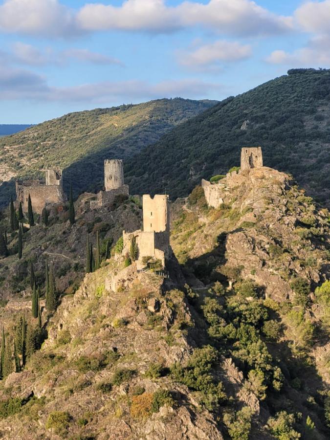 3 Star Surdespine Historic 4 Chateaux Lastours Air Conditioned 外观 照片
